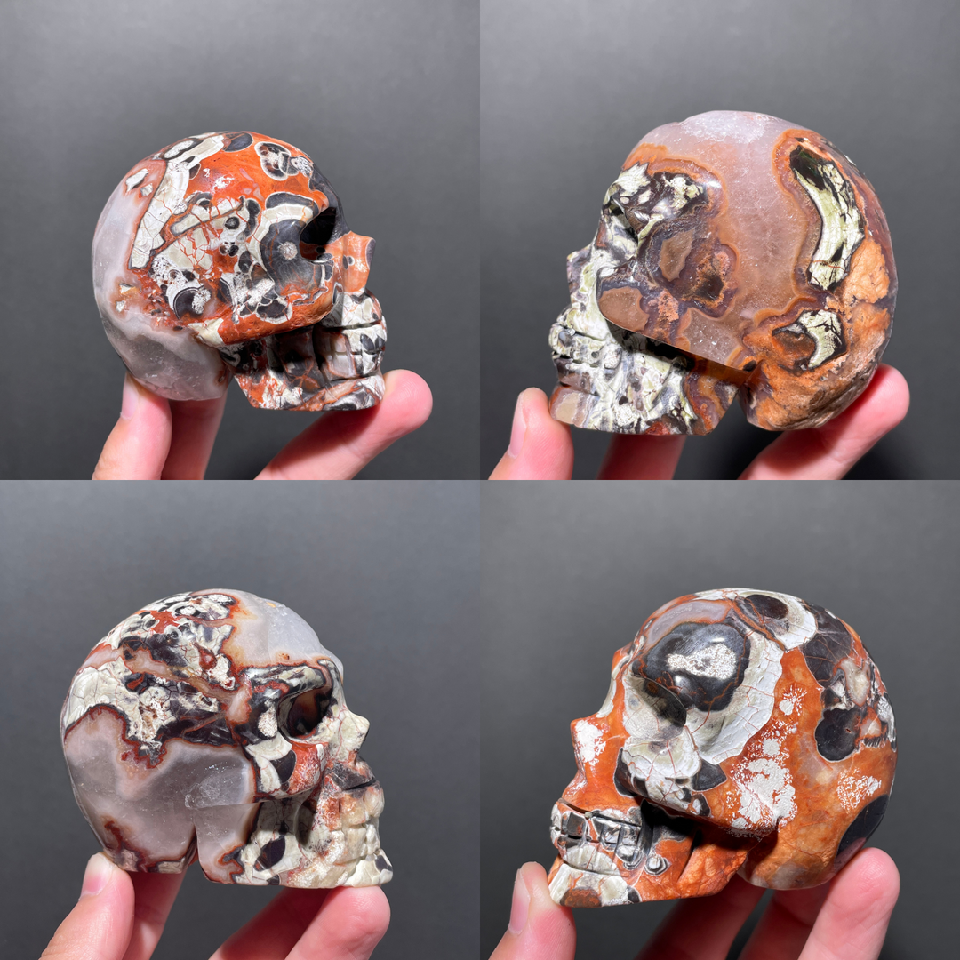 Unique,Money Agate Skull