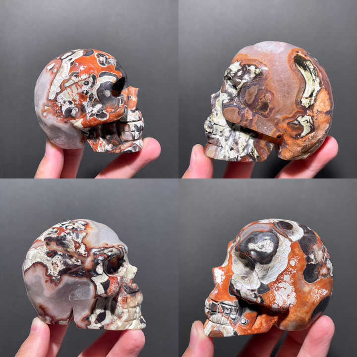 Unique,Money Agate Skull