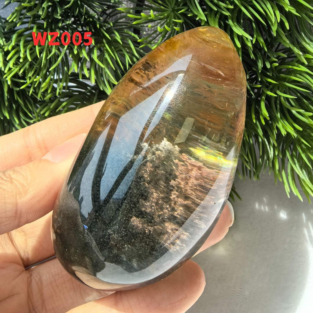 Chat afghan Jade avec troisième œil