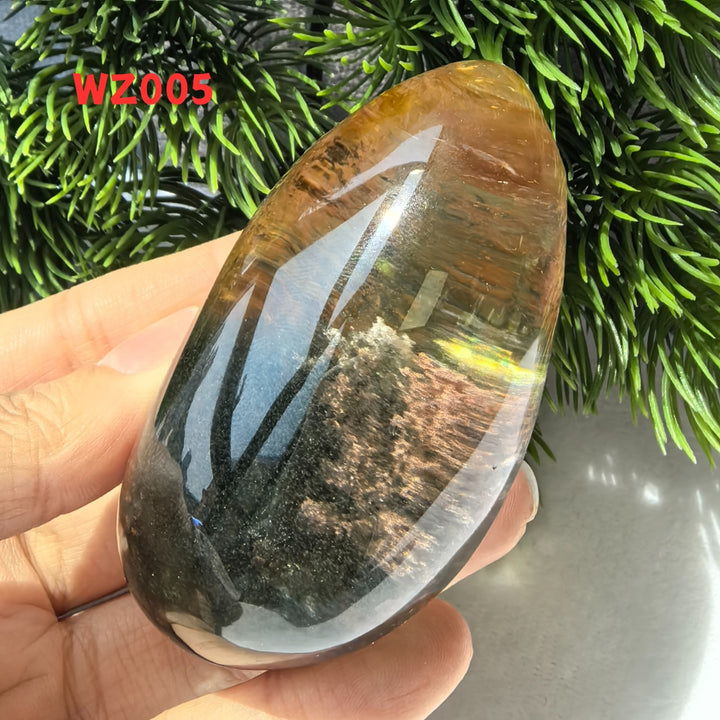 Chat afghan Jade avec troisième œil