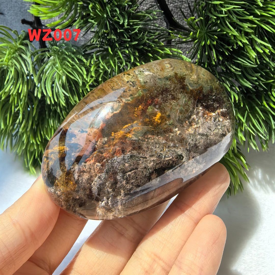 Chat afghan Jade avec troisième œil