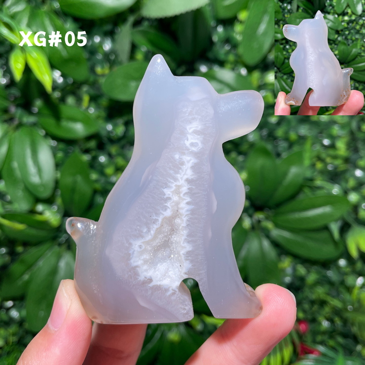 Unique, Agate Geode Dog