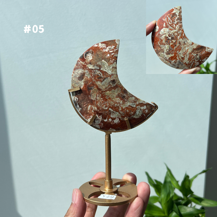 Unique,Money Agate Moon