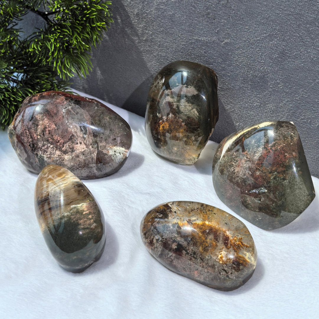 Chat afghan Jade avec troisième œil