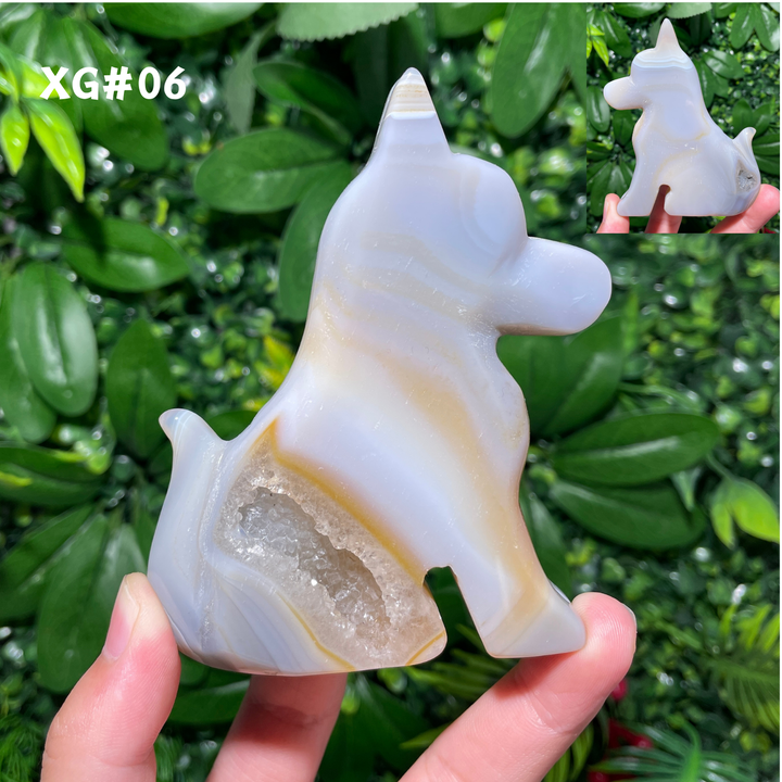 Unique, Agate Geode Dog