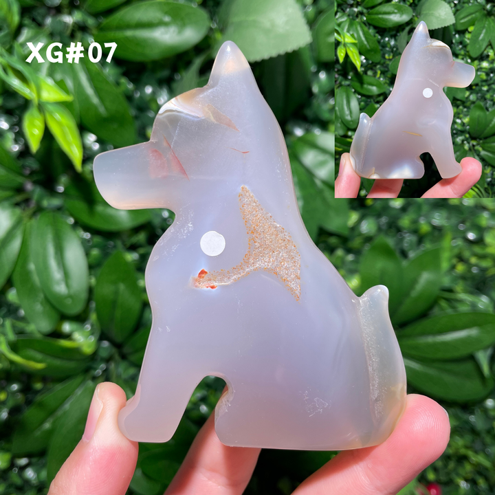 Unique, Agate Geode Dog