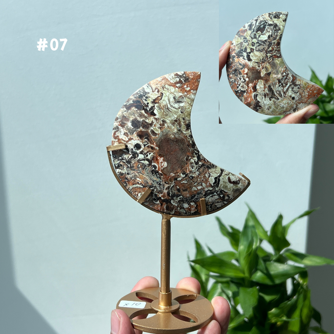 Unique,Money Agate Moon