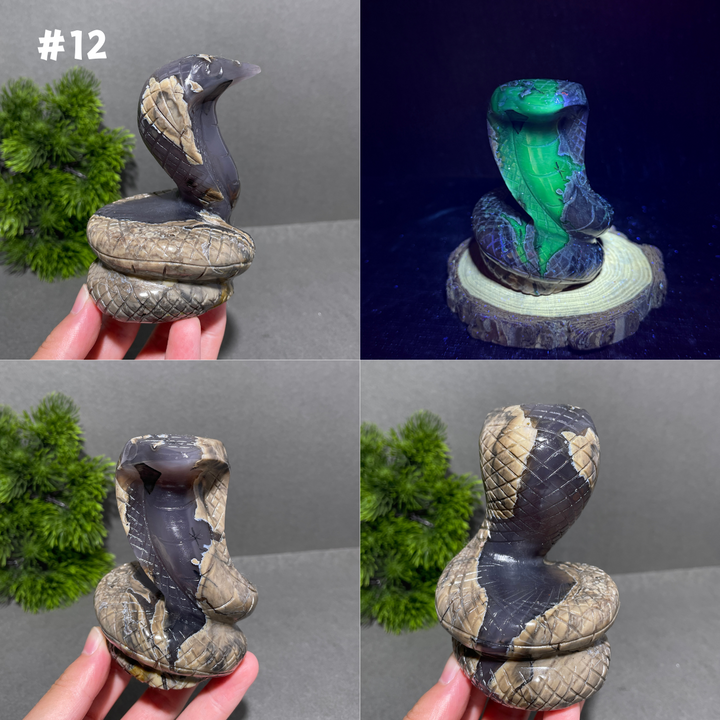 Unique,Volcanic Agate Snake