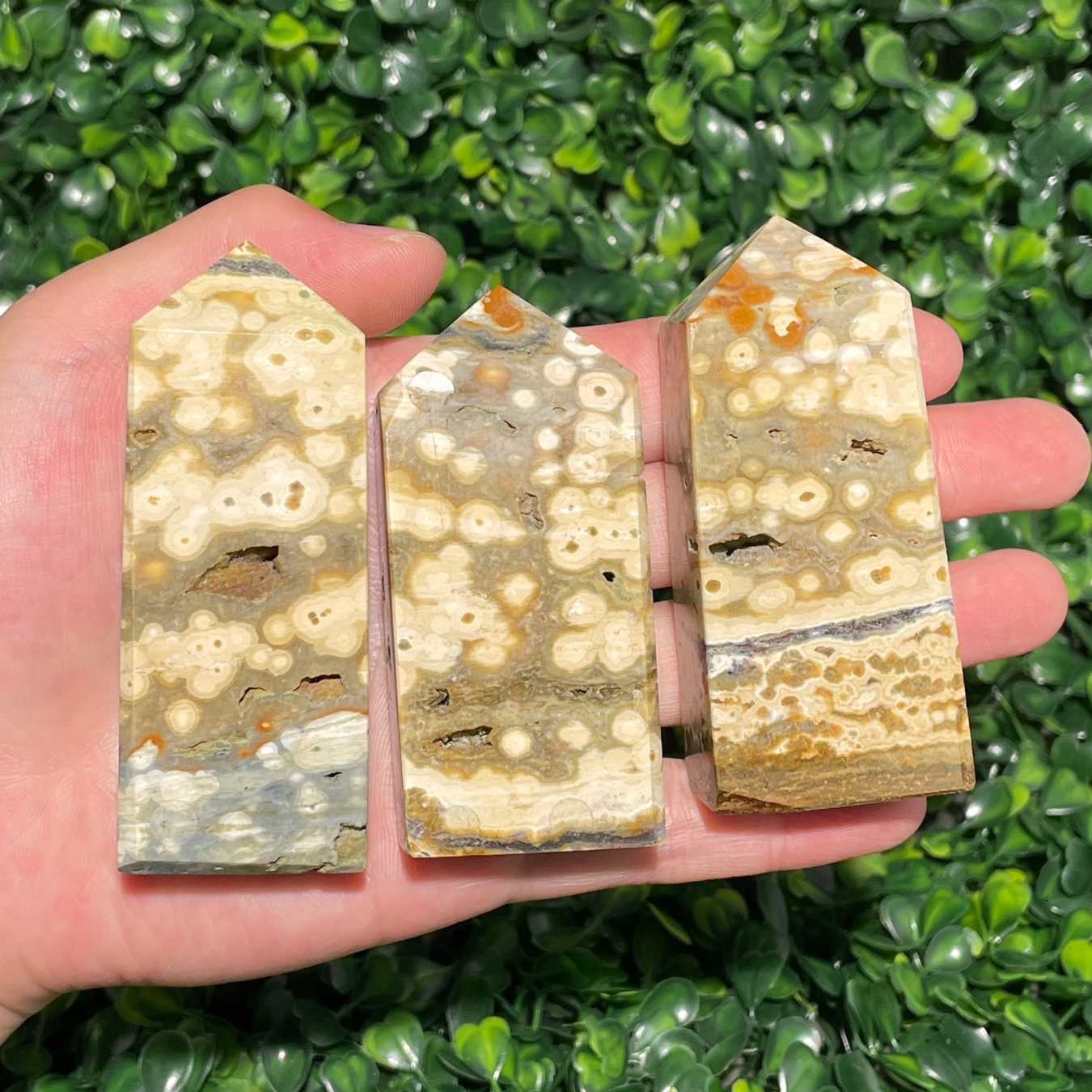 Unique,8th Vein Ocean Jasper Point – KiKi Crystal