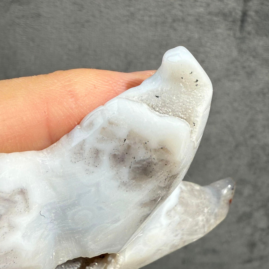 Agate Starfish