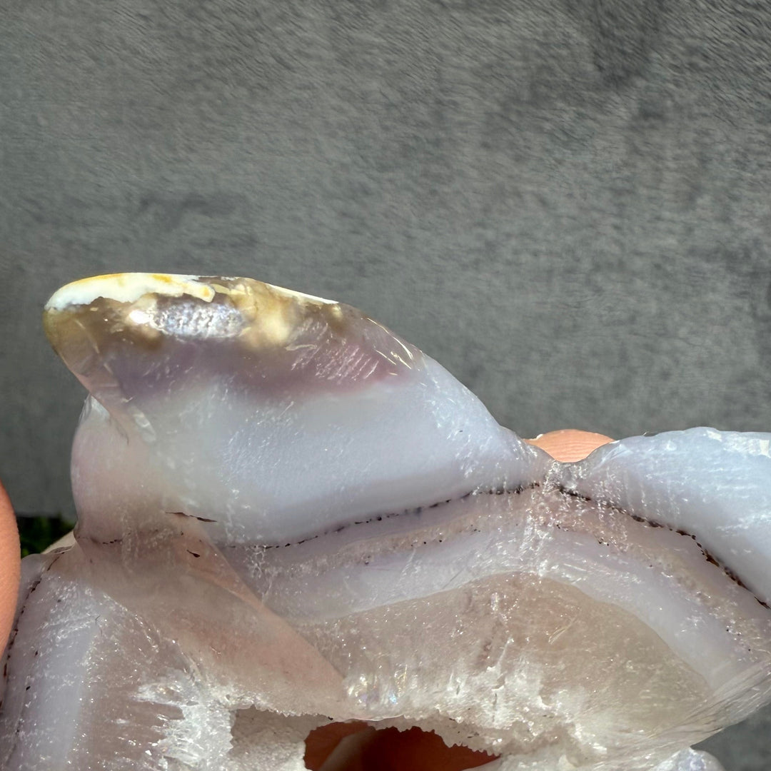 Agate Starfish