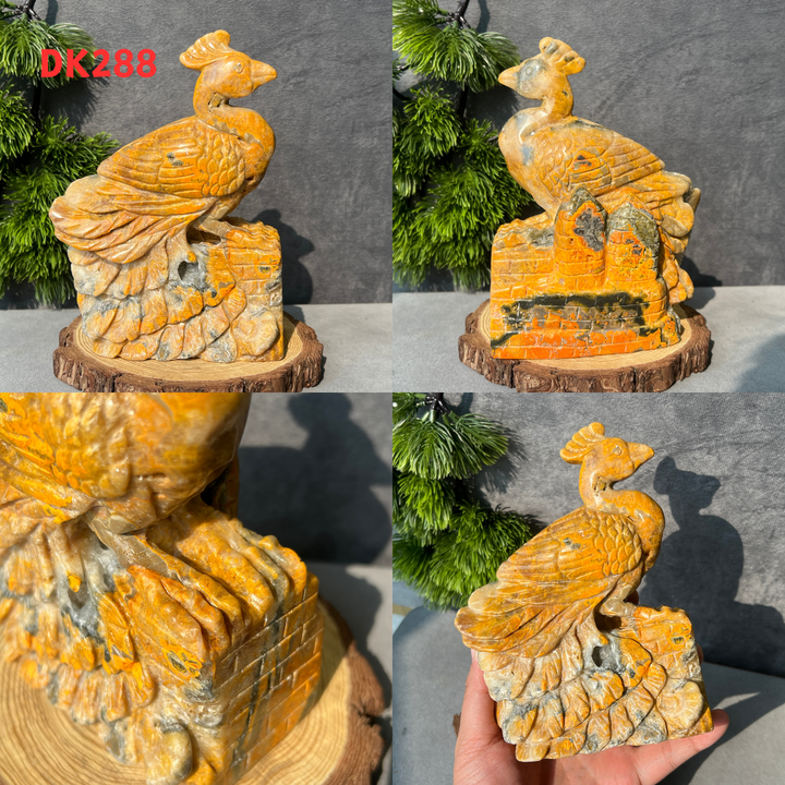 Afghanische Jade-Drittes-Auge-Katze