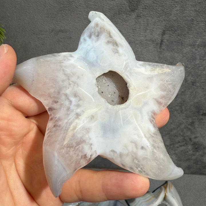 Agate Starfish