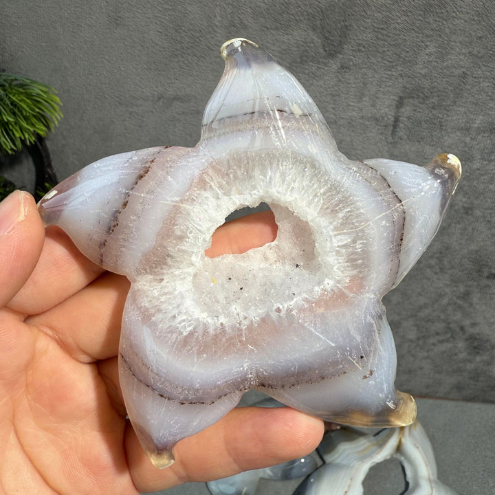Agate Starfish