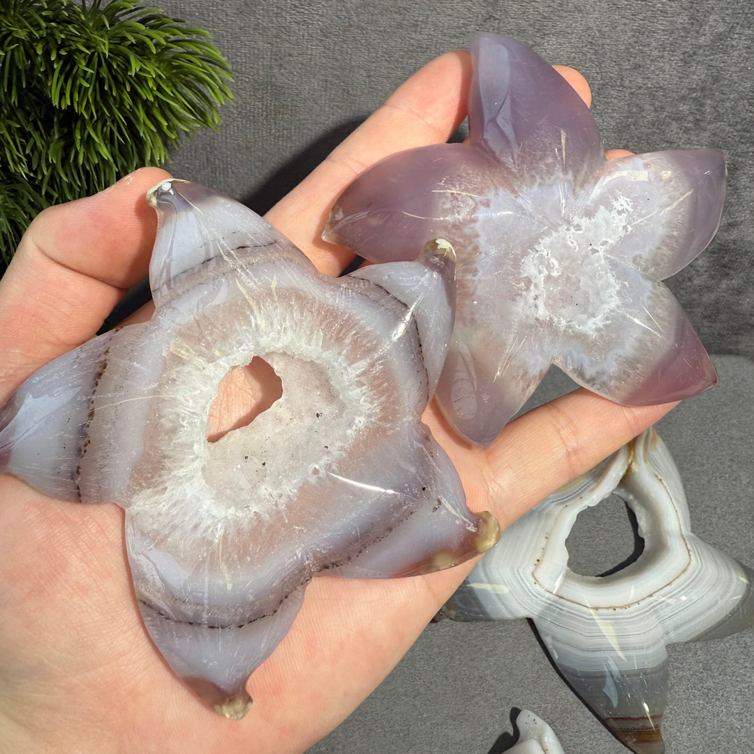 Agate Starfish