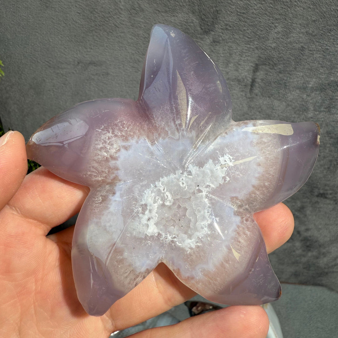 Agate Starfish