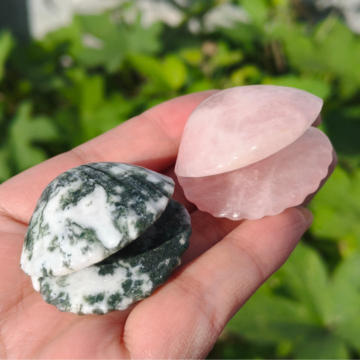 Natural Carved Crystal Shells