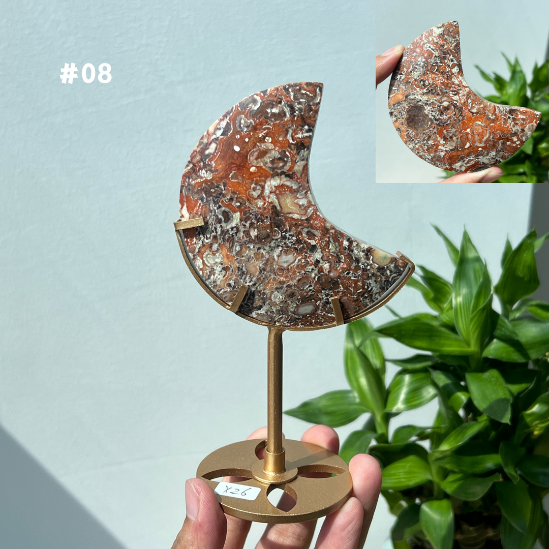 Unique,Money Agate Moon