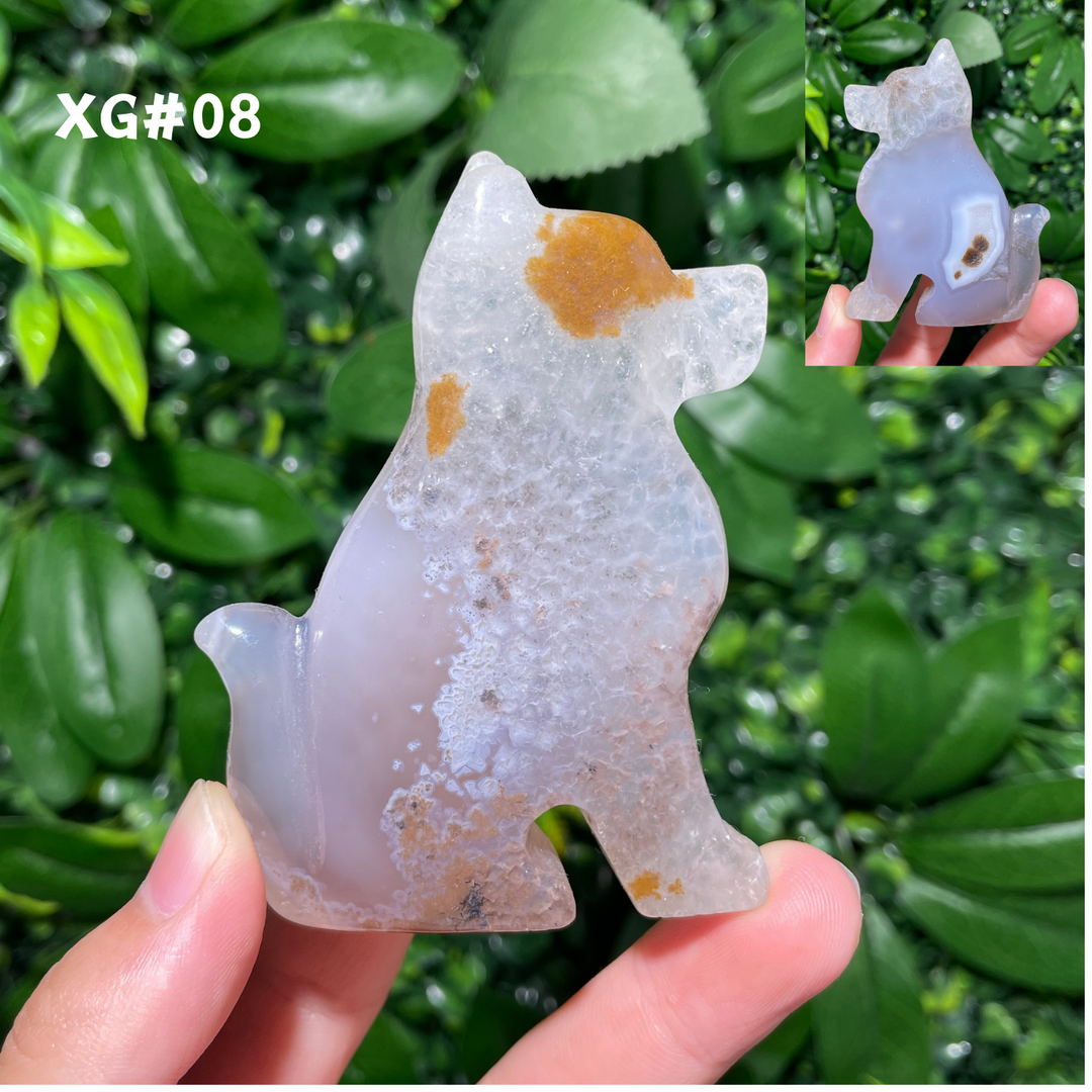 Unique, Agate Geode Dog