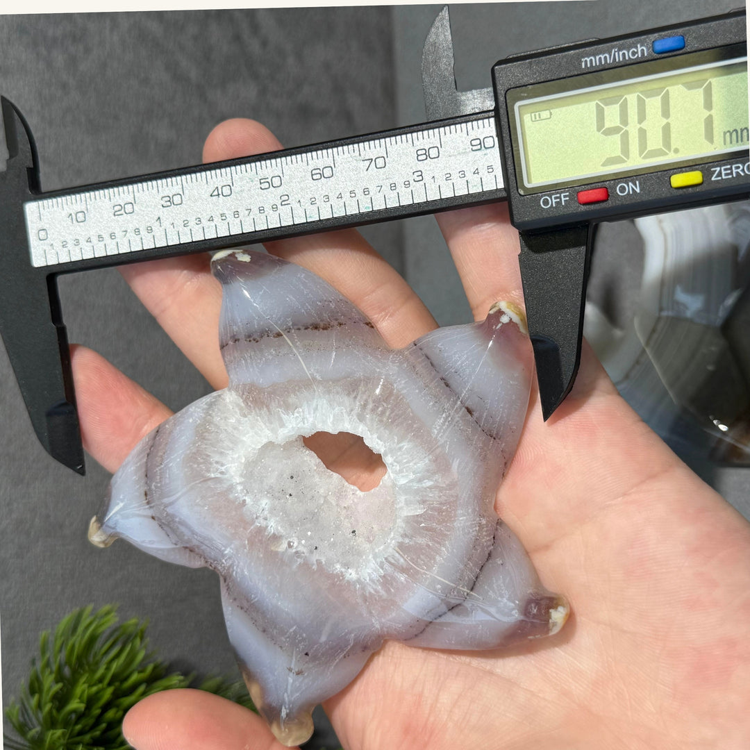 Agate Starfish