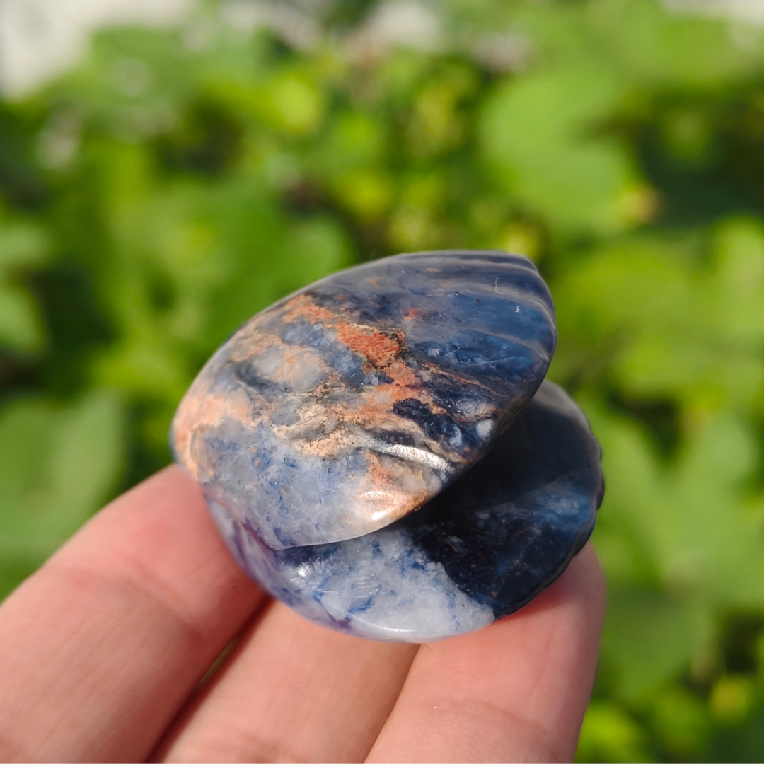 Natural Carved Crystal Shells