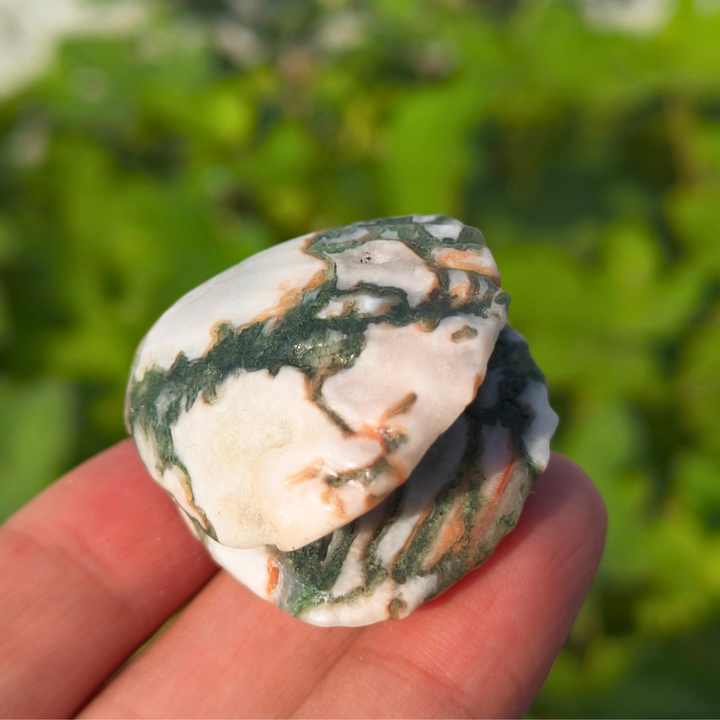 Natural Carved Crystal Shells