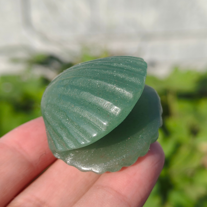 Natural Carved Crystal Shells