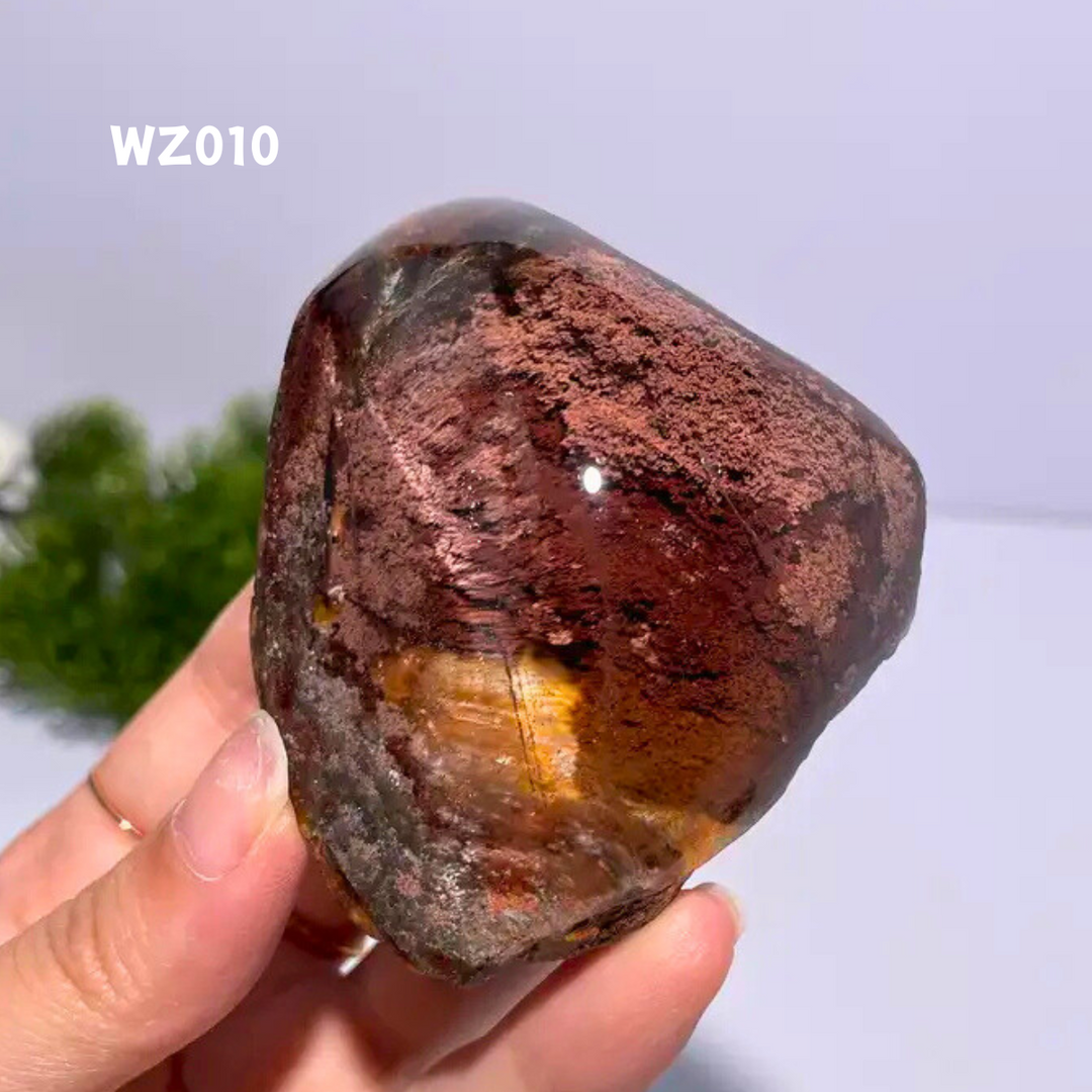 Chat afghan Jade avec troisième œil