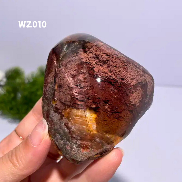 Chat afghan Jade avec troisième œil