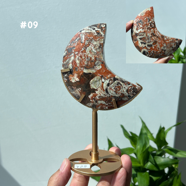 Unique,Money Agate Moon