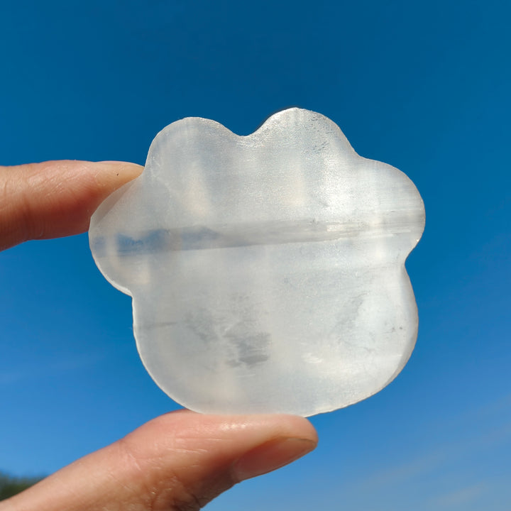 Selenite Cat Claw