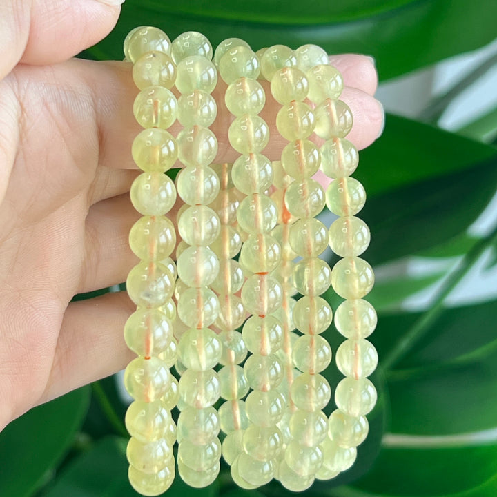 Golden Prehnite Bracelet 7.1~7.7MM