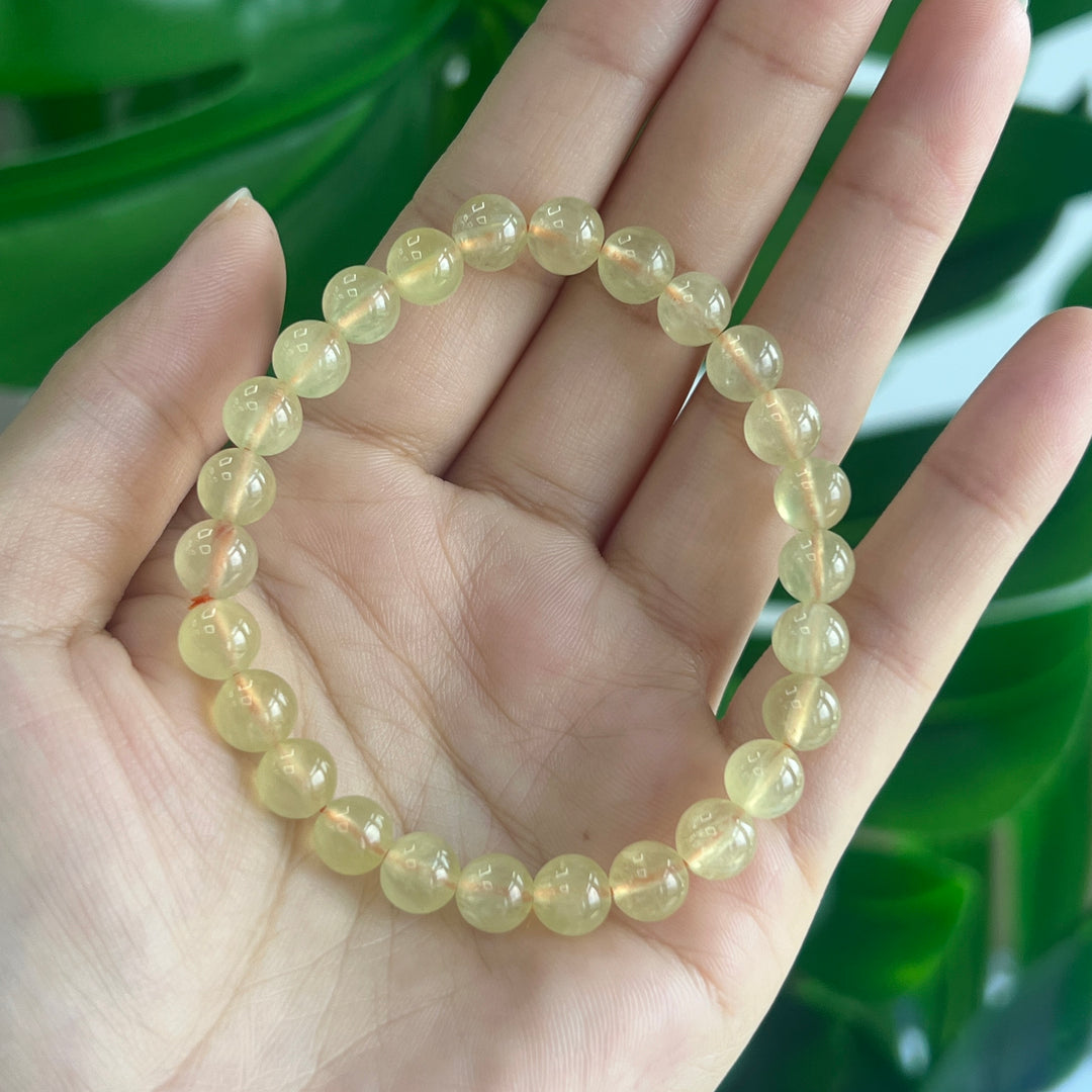 Golden Prehnite Bracelet 7.1~7.7MM