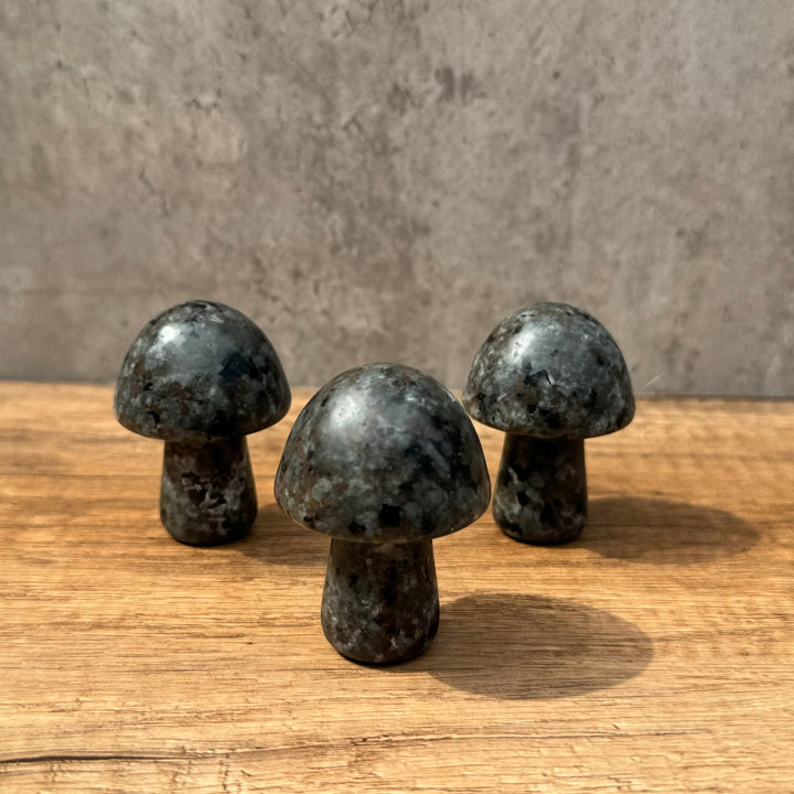 Champignon Yooperlite