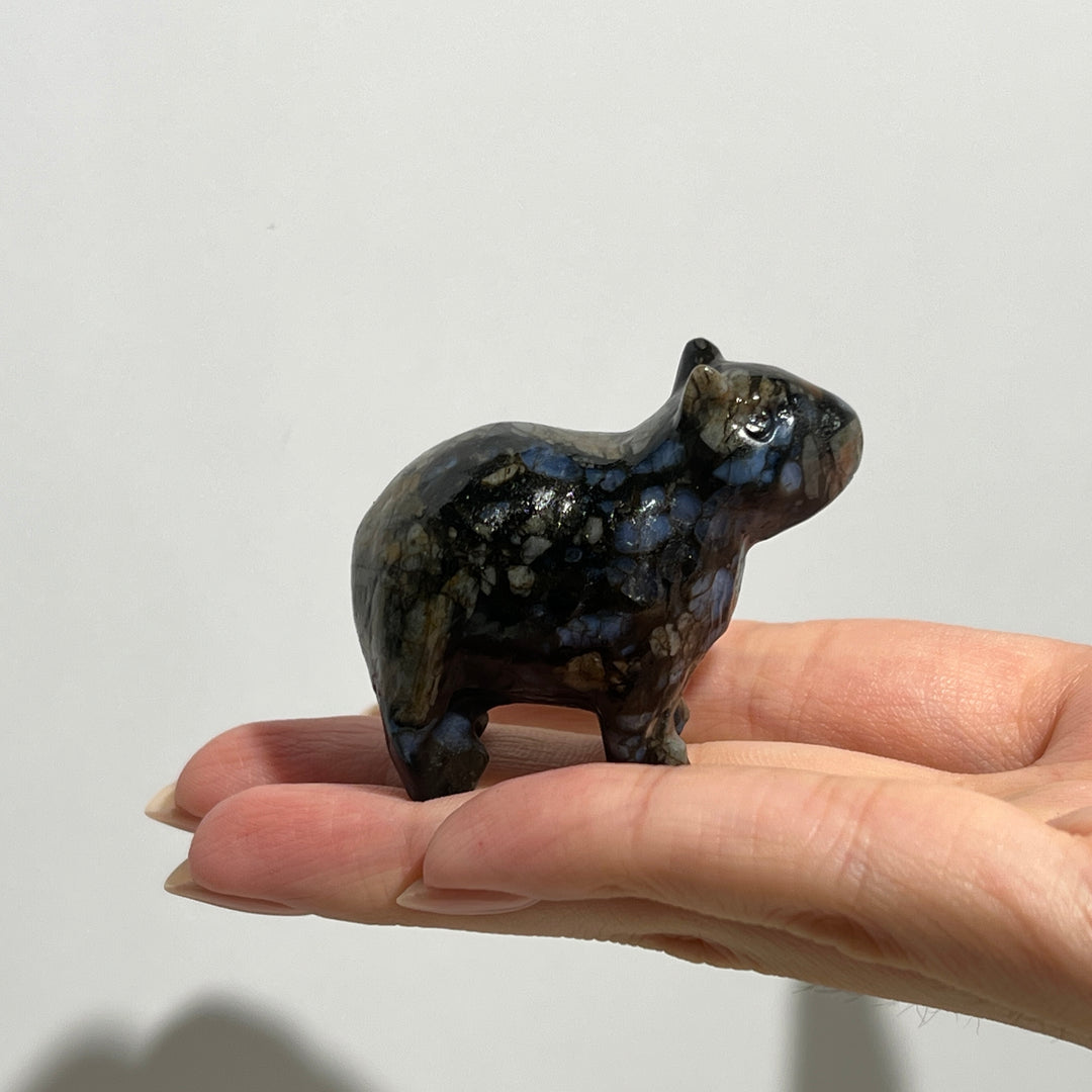 Capibara Carving - Que Sera Stone