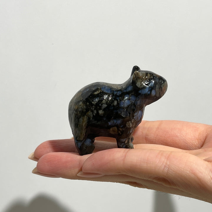 Capibara Carving - Que Sera Stone