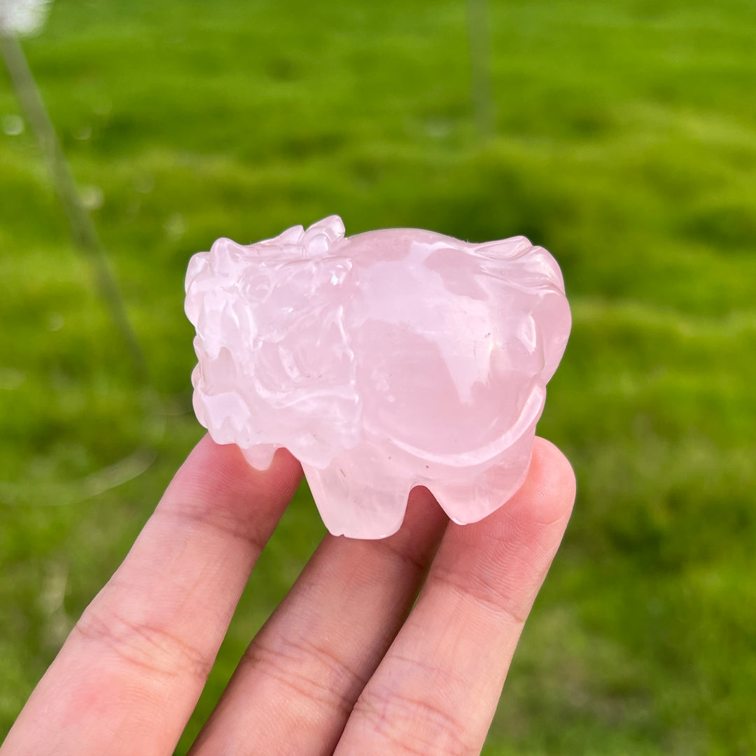 Rose Quartz Dragon Turtle