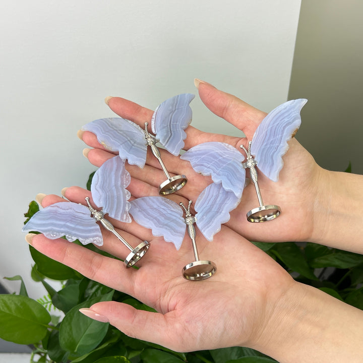 Blue Lace Agate Butterfly