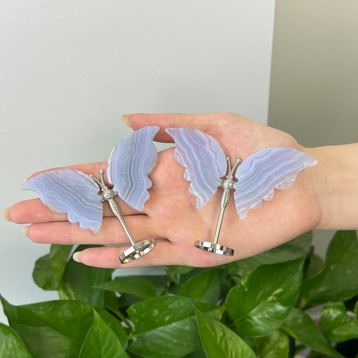 Blue Lace Agate Butterfly