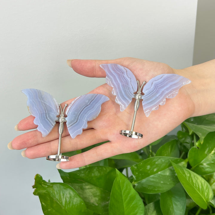 Blue Lace Agate Butterfly