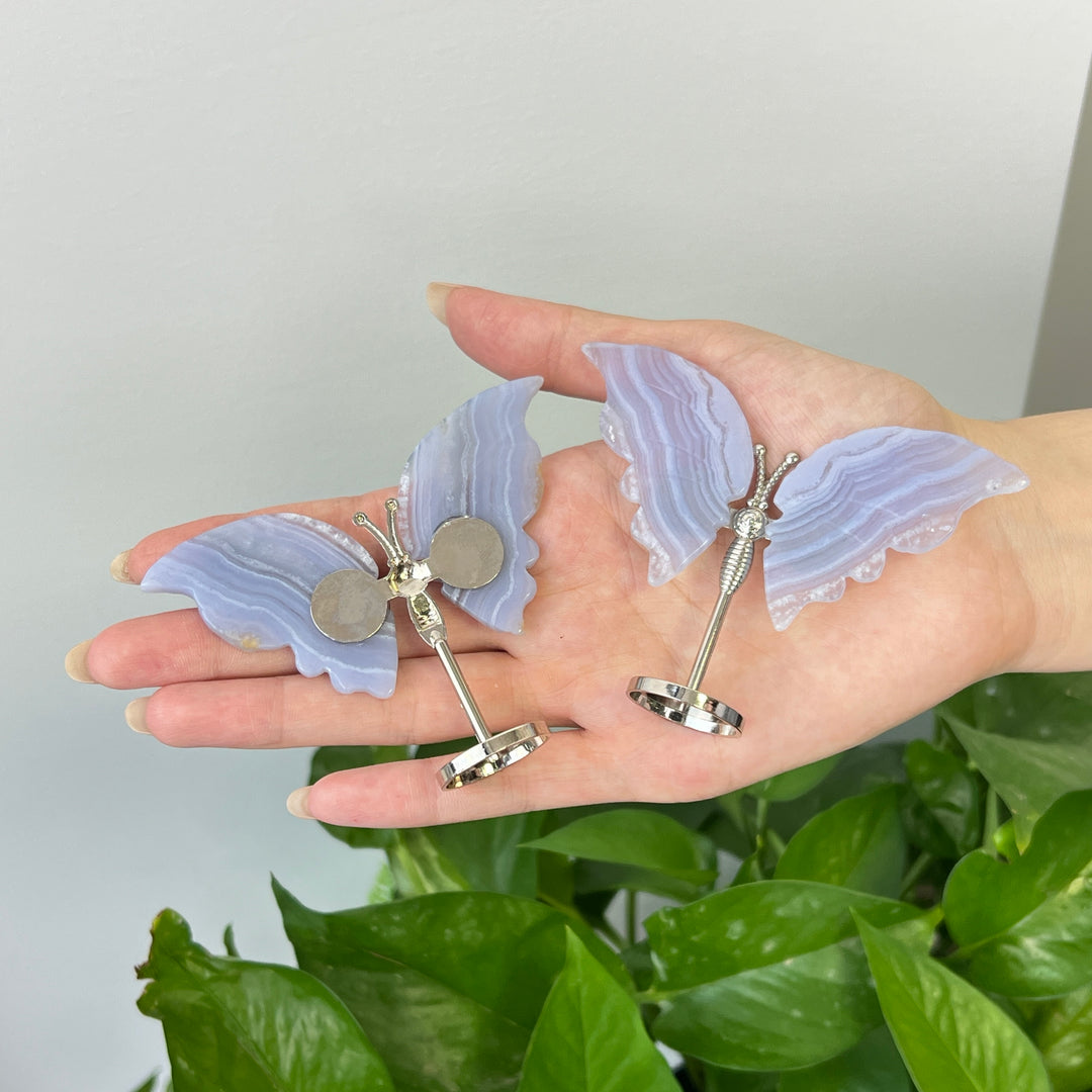 Blue Lace Agate Butterfly