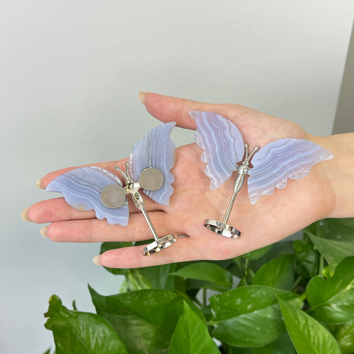 Blue Lace Agate Butterfly
