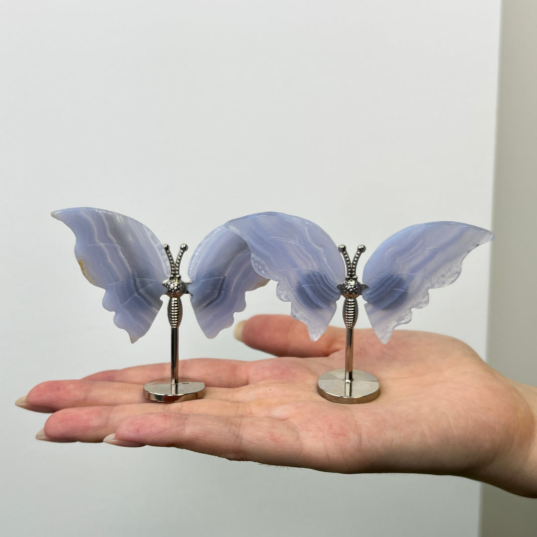 Blue Lace Agate Butterfly