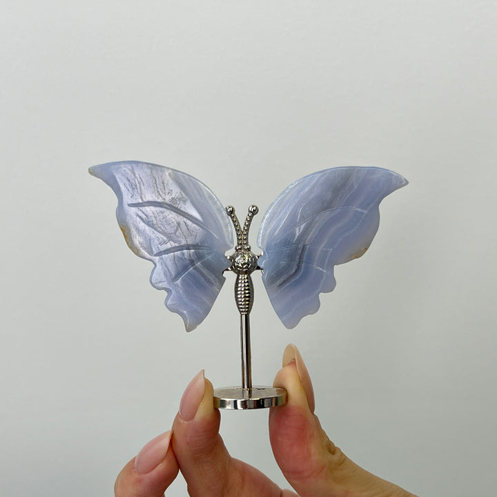 Blue Lace Agate Butterfly