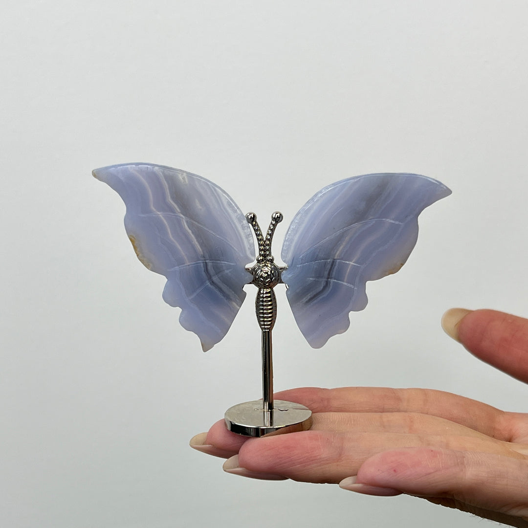 Blue Lace Agate Butterfly