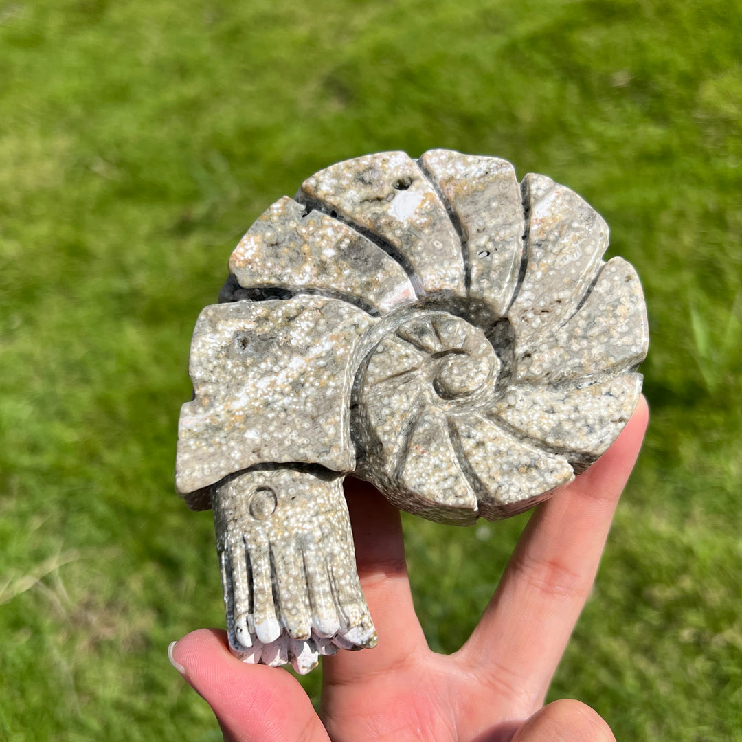 Ocean Jasper Ammonite