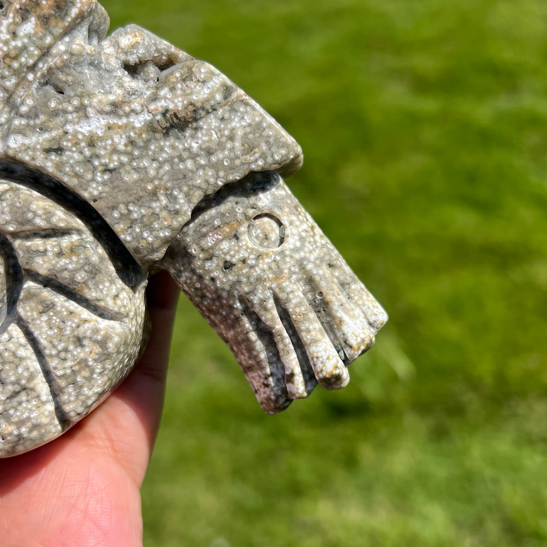 Ocean Jasper Ammonite