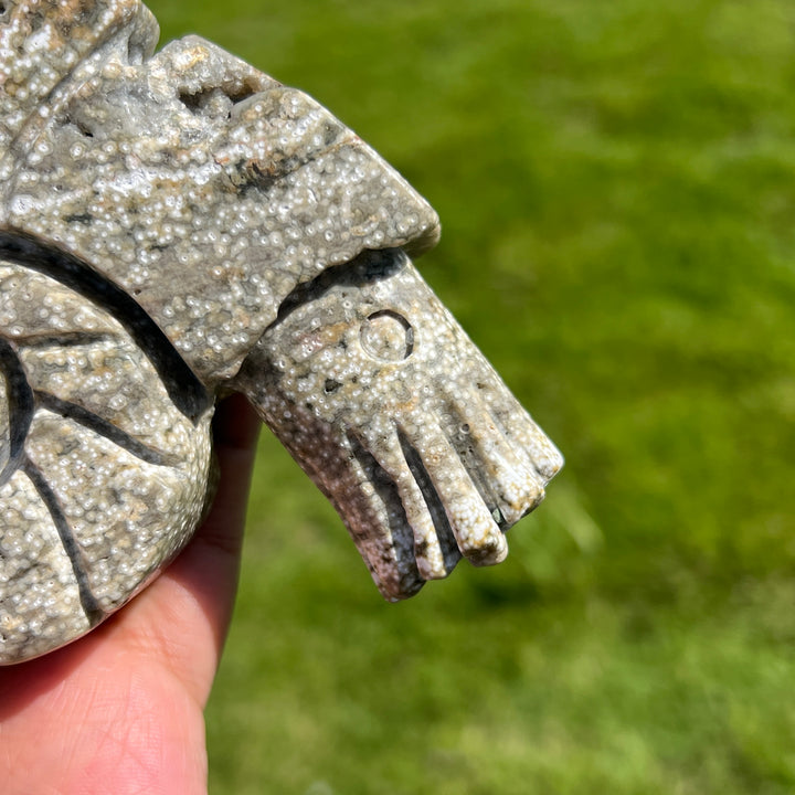 Ocean Jasper Ammonite