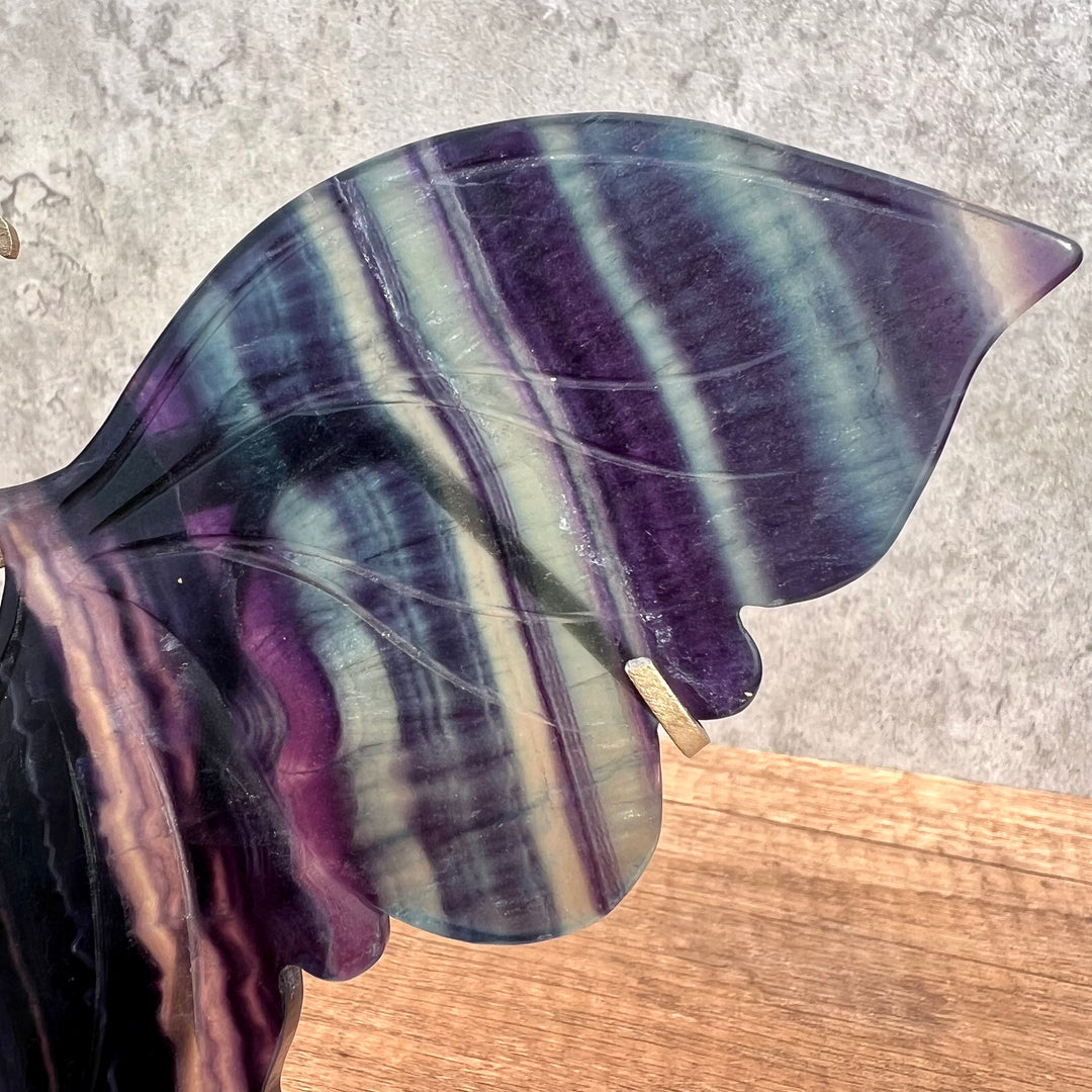 Rainbow Fluorite Butterfly Wings