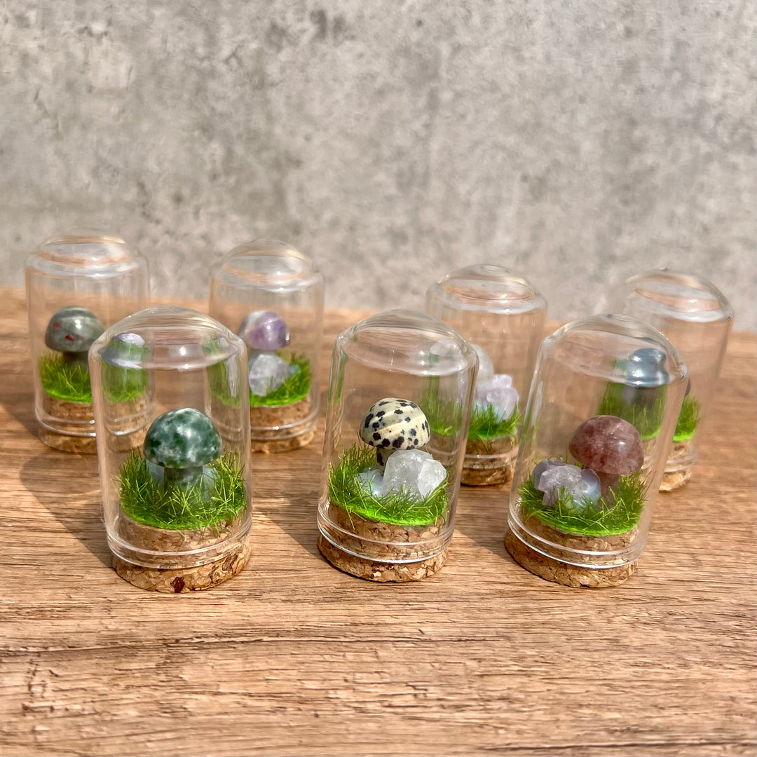 Kristallpilz-Exemplar